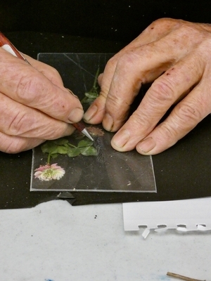 Arting summer School 2023