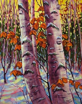 Birch Wood