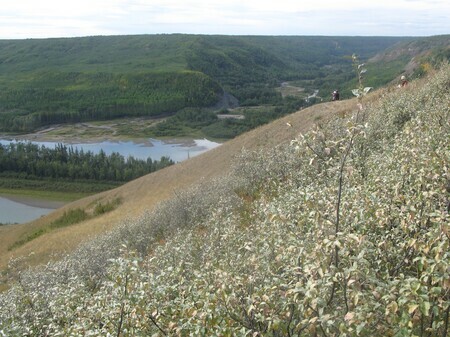 View of the Peace River