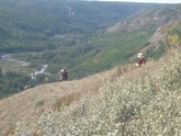 Painting the Peace River