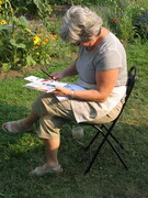 Sketching Miep's Garden